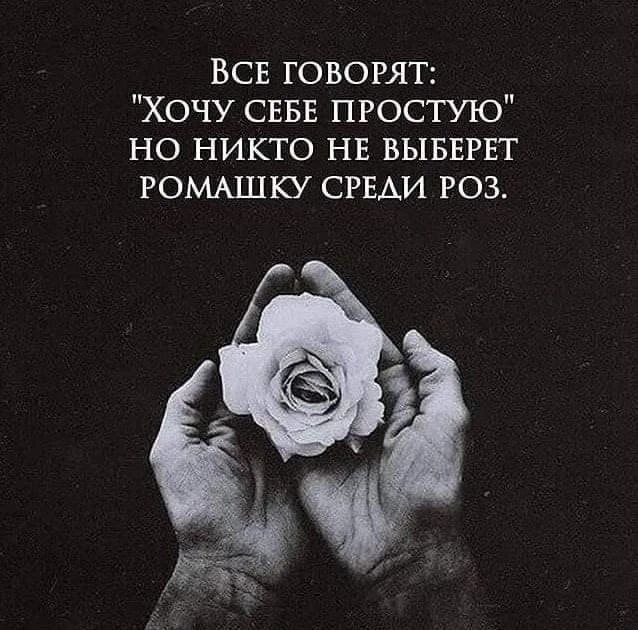 Смысл в каждой фразе — Подпишись