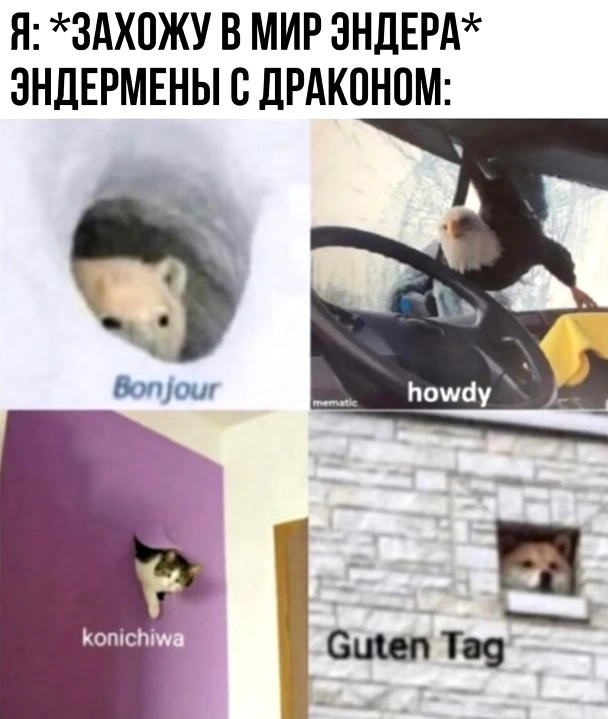 🤣
