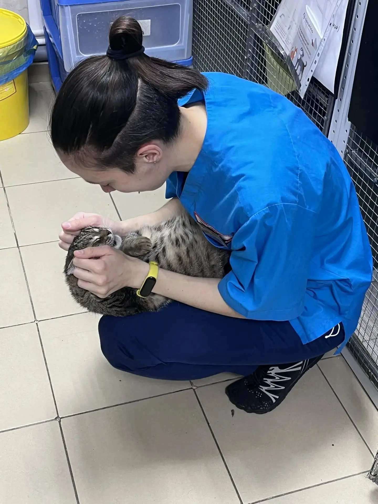 Это любовь😍😍😍, теперь буду из дома для Алсу Айдаровны от Монгола приветы слать)))))