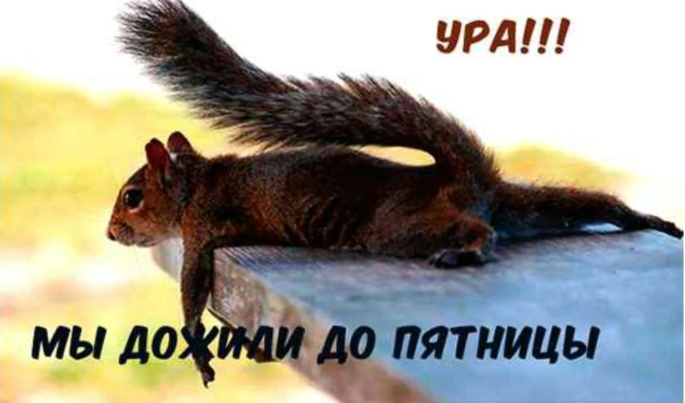 Ура! А вот и пятница 🎉 — самый долгожданный день недели, когда можно наконец выдохнуть...
