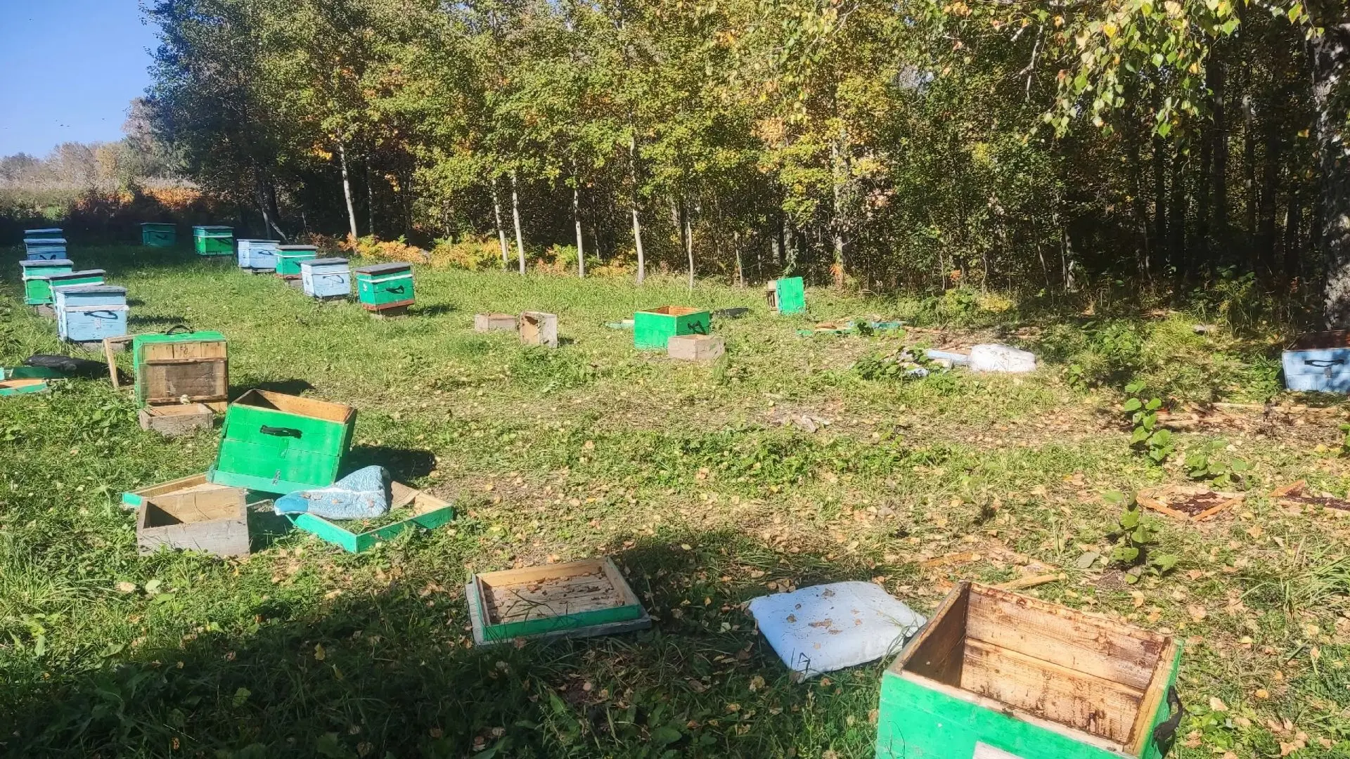🐻 По сообщению нашего постоянного читателя: