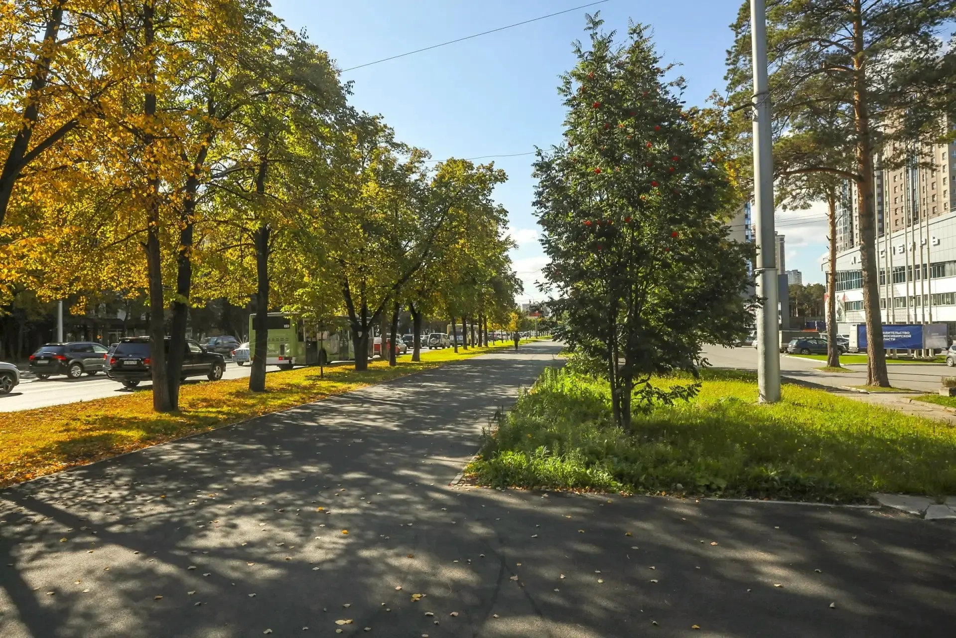 Академгородок | Академ | Новосибирск🏡