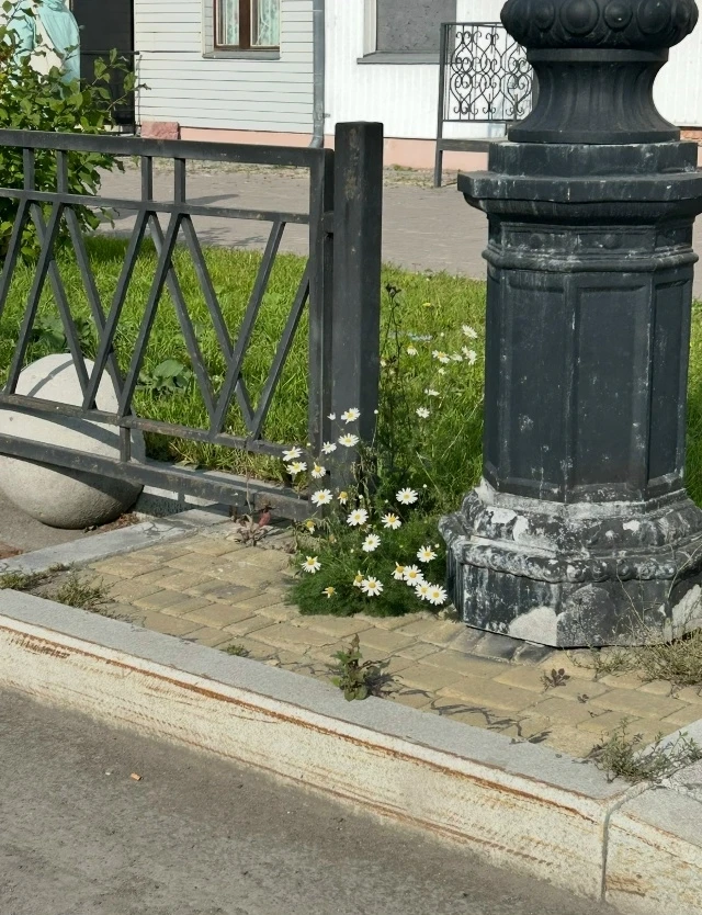 Присылайте Ваши фото в "Предложить пост"