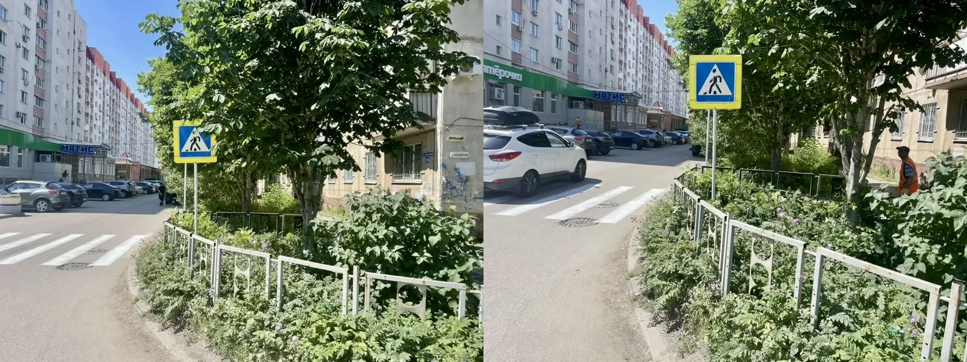 🔎Обеспечиваем видимость знаков дорожного движения

Для безопасности передвижения по улично-дорожной