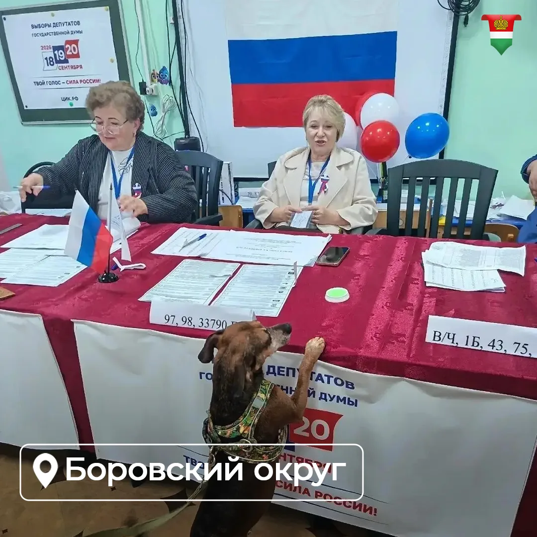 Изображение 3 к публикации «Правительство Калужской области»