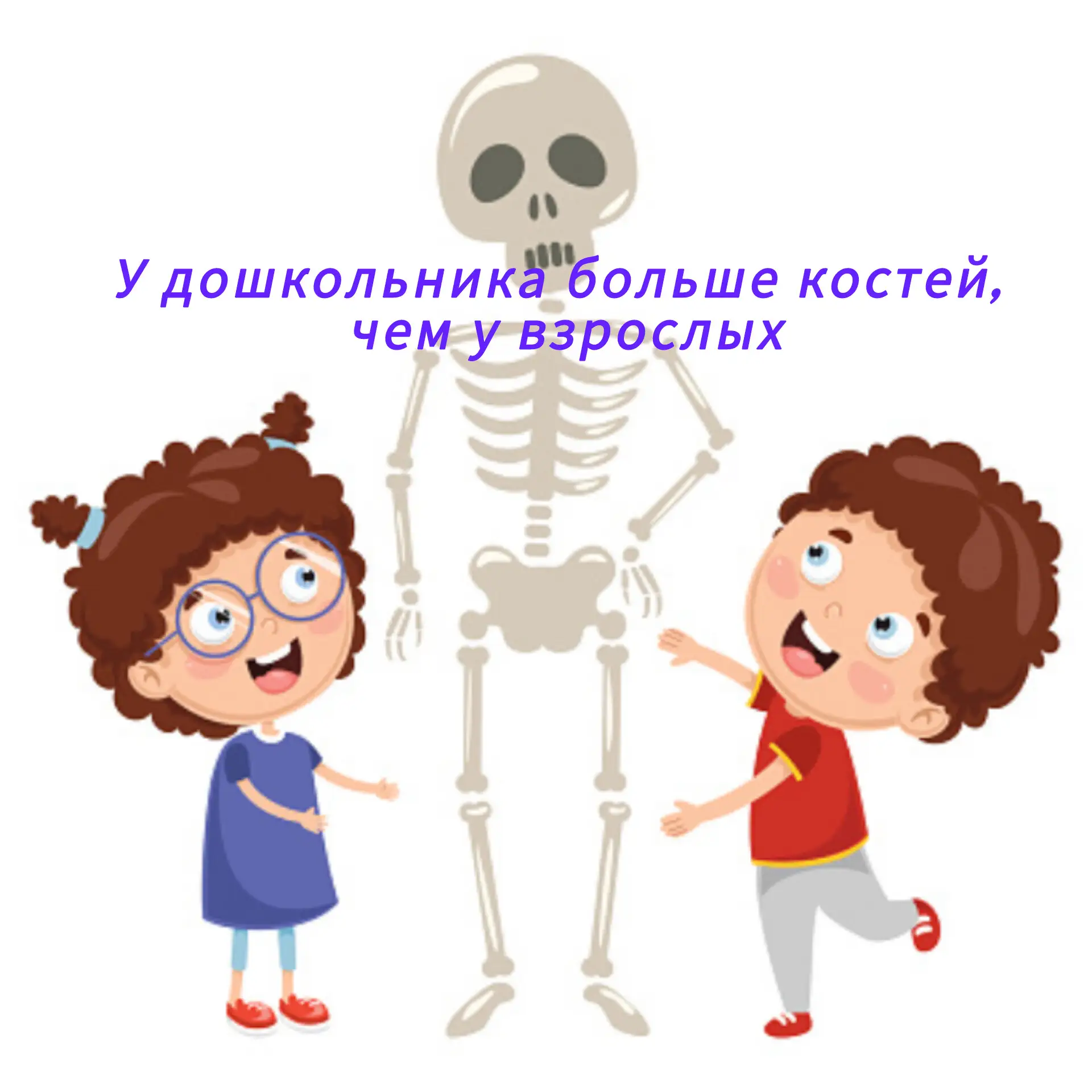🔷У дошкольника больше костей, чем у взрослого. У младенца около 270 костей, а у взросл...