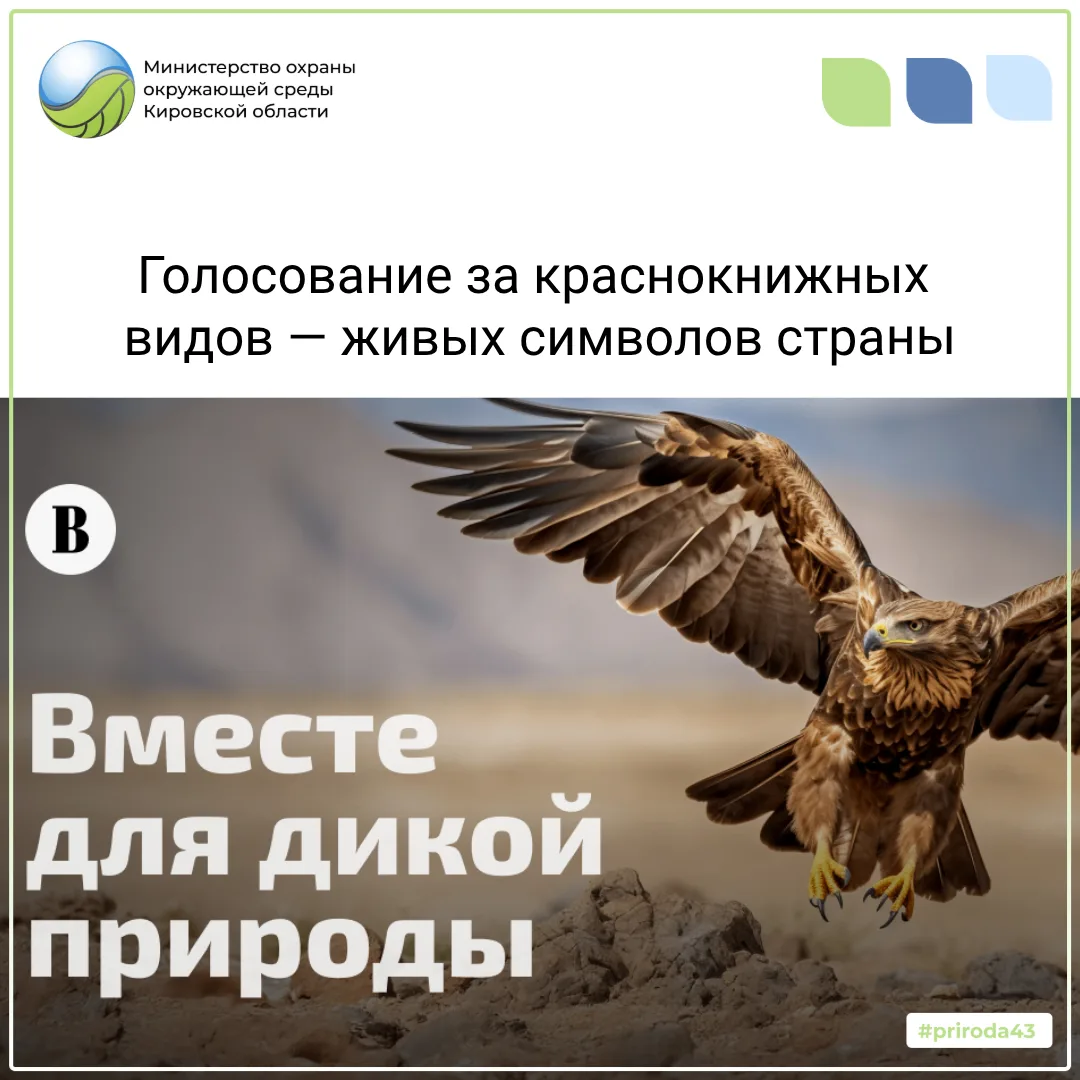В России стартовало голосование по выбору топ - 100 краснокнижных видов - символов страны
