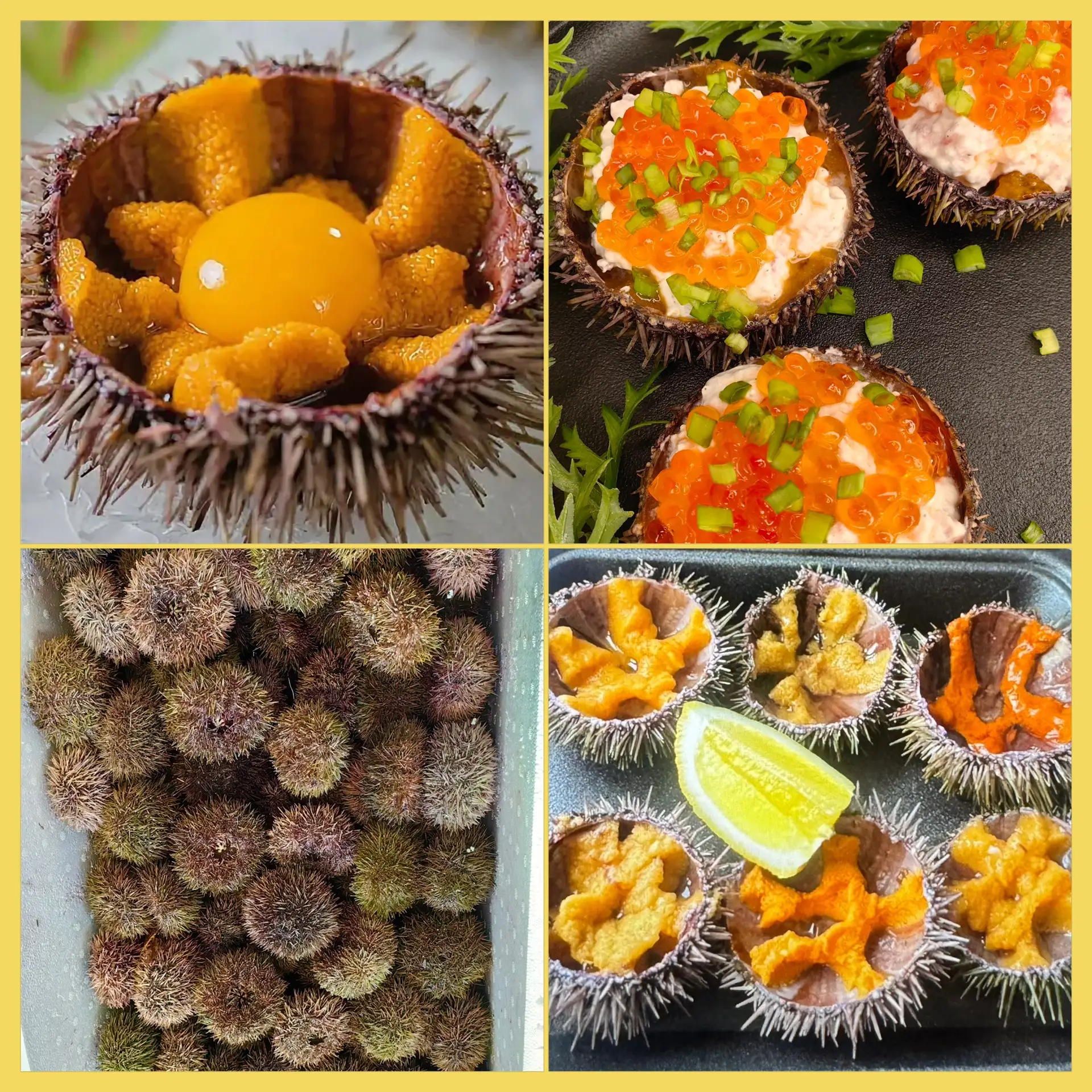 Вкус океана в одной ложке 🌊 Эликсир молодости и гастрономический восторг!🤩