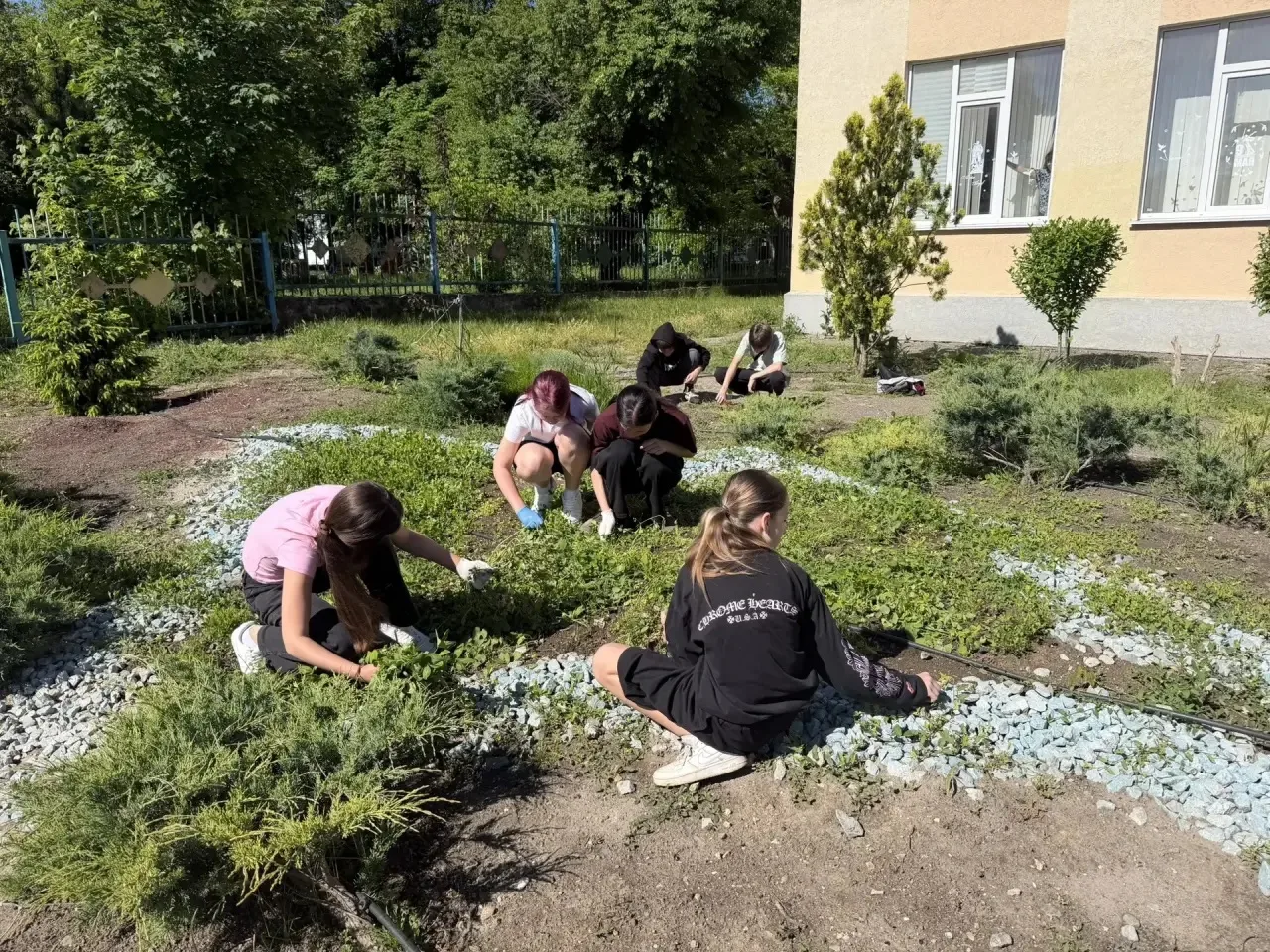 2 июня на базе нашей школы стартовал летний трудовой лагерь.