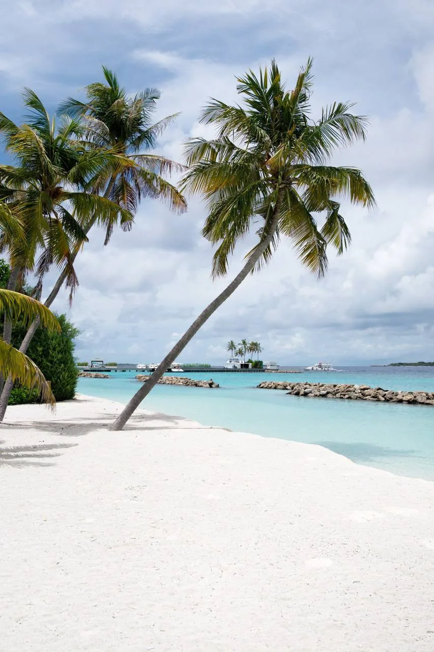 Наш бестселлер на Мальдивах - Dhigali Maldives 5*