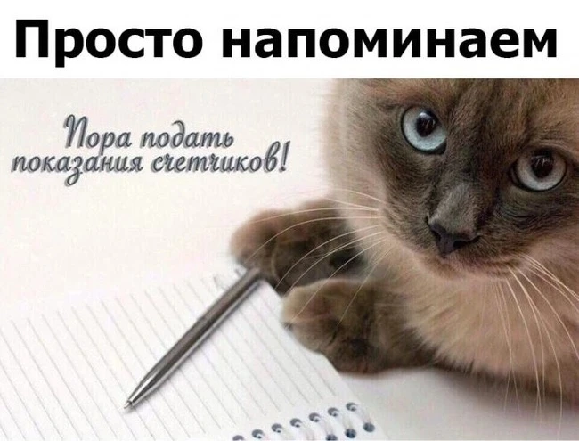 С 18 по 25 мая ведется прием показаний приборов учета потребления холодной воды и тепло...