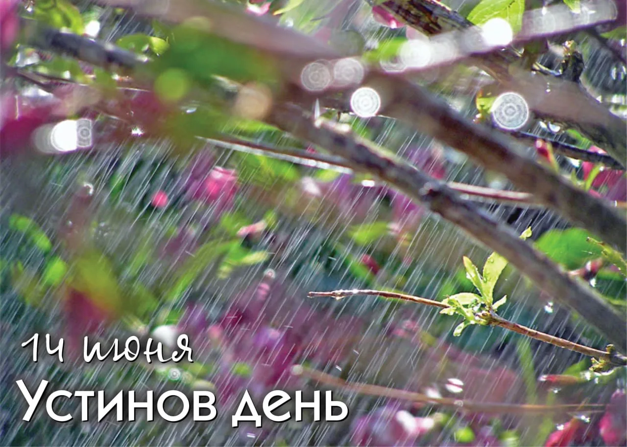 Народный календарь

14 июня — Устинов день. Говорили: «На Устина не городи тына» — по поверью, строи