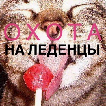 🍭Охота за леденцами!