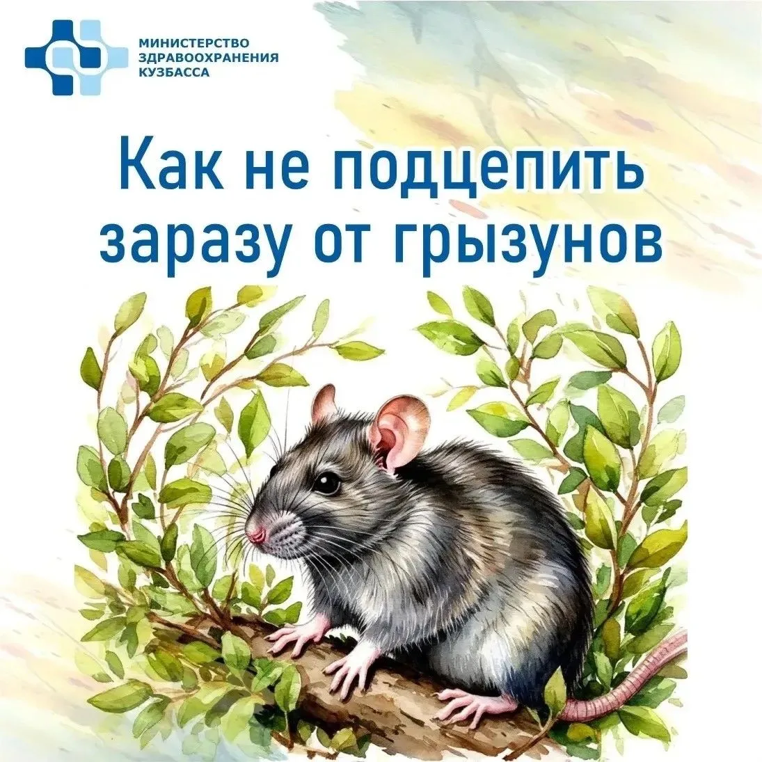 🐭 Грызуны — частые гости на дачах.