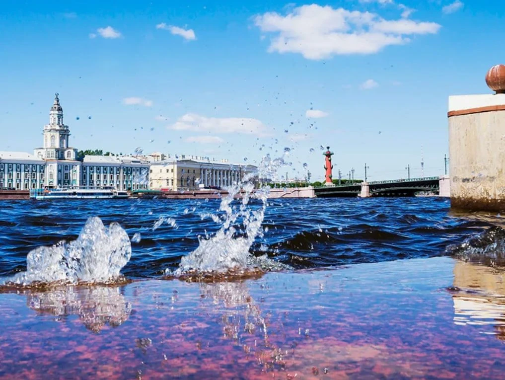 ⭐️Шедевры Петербурга
✅Даты тура: 02-06.07, 09-13.07, 16-20.07, 23-27.07, 30.07-03.08, 06-10.08, 13-1