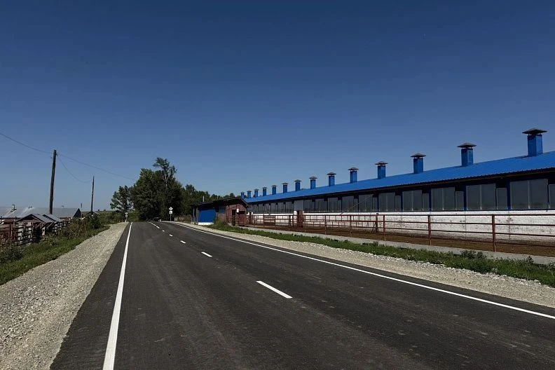 Более 18,5 миллиона рублей направили на строительство подъезда к алтайскому сельхозкооп...