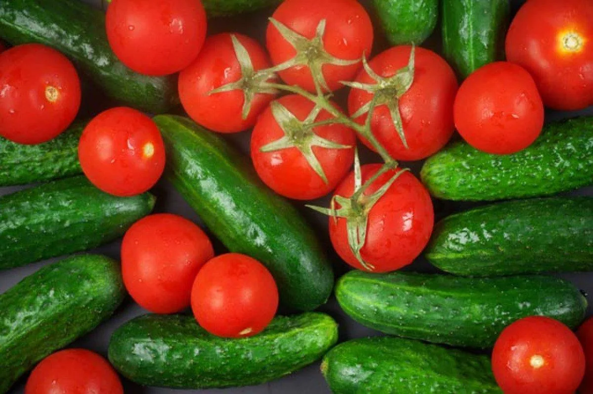 🍅 Огурцы и помидоры в России могут стать еще дороже - для импортных овощей требуют уст...