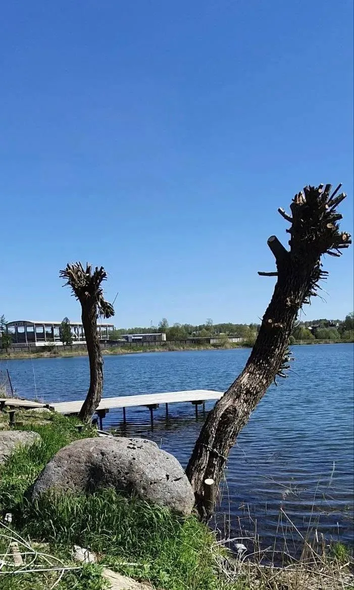 🚤 Самовольное размещение причала на берегу водного объекта может привести к проблемам