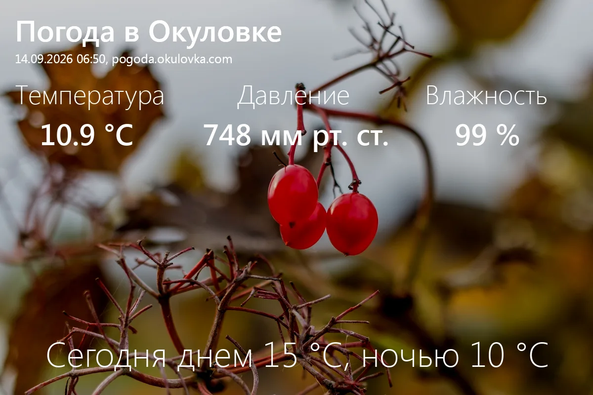 Доброе утро! Сейчас в Окуловке 10.9 °C, давление 748 мм.рт.ст., влажность 99%.