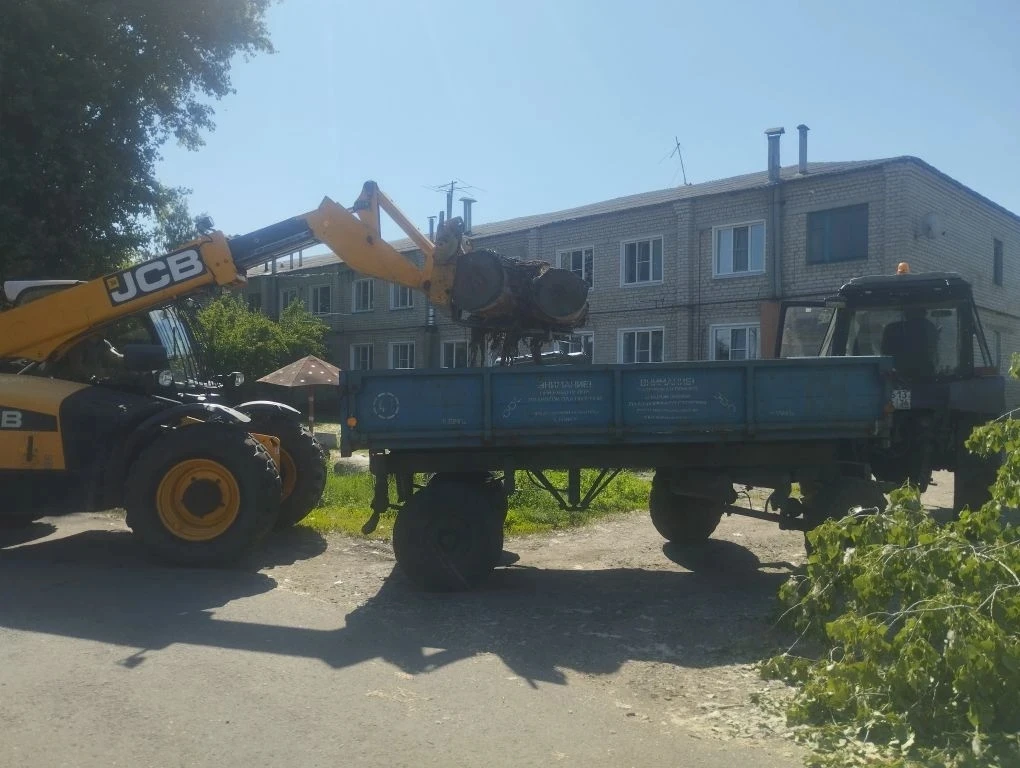 Сегодня был организован вывоз спилов тополей на ул. 30 лет Победы. Благодаря взаимодейс...