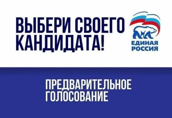 Из цикла «Выборы»
