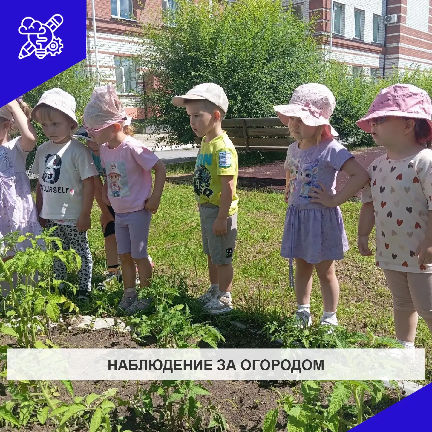 Наблюдение за огородом 
В младшей группе 7.
Дети знакомятся с живой природой, учатся видеть различие
