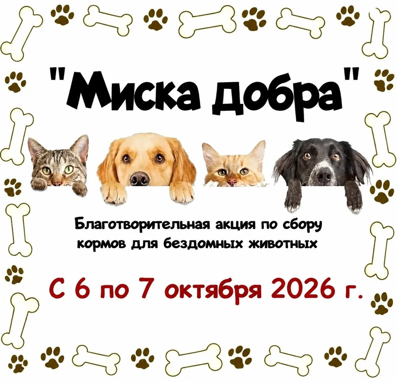 🐾 АКЦИЯ «МИСКА ДОБРА»: ПОМОЖЕМ ХВОСТИКАМ ВМЕСТЕ!