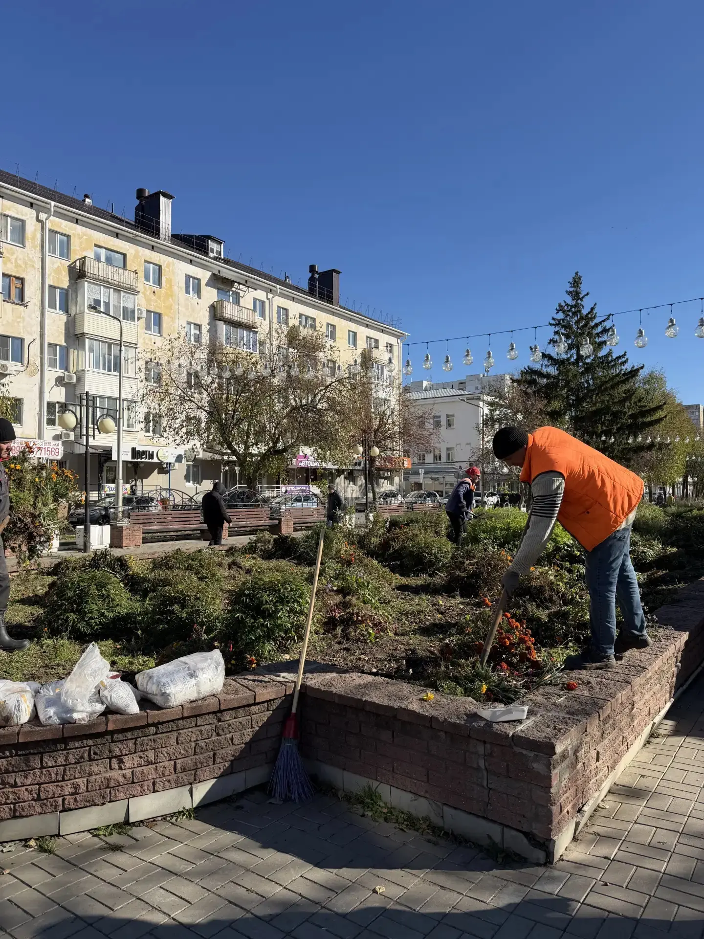 🍂 Осень — время перемен... и большой уборки!