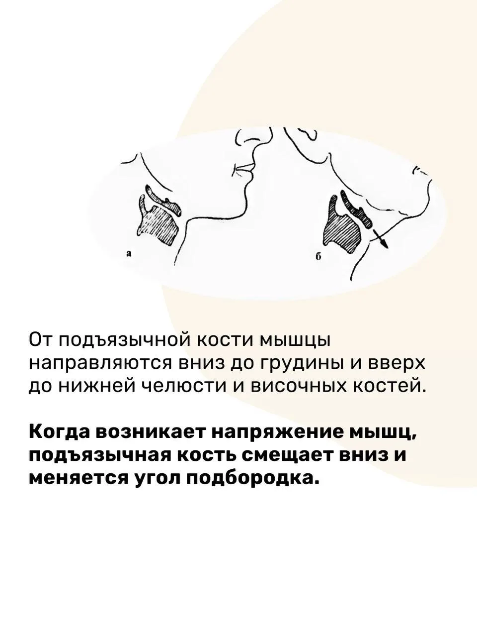 Хотите убрать второй подбородок БЫСТРО и БЕЗ ДИЕТ? Узнайте, как это сделать за 1 урок!
