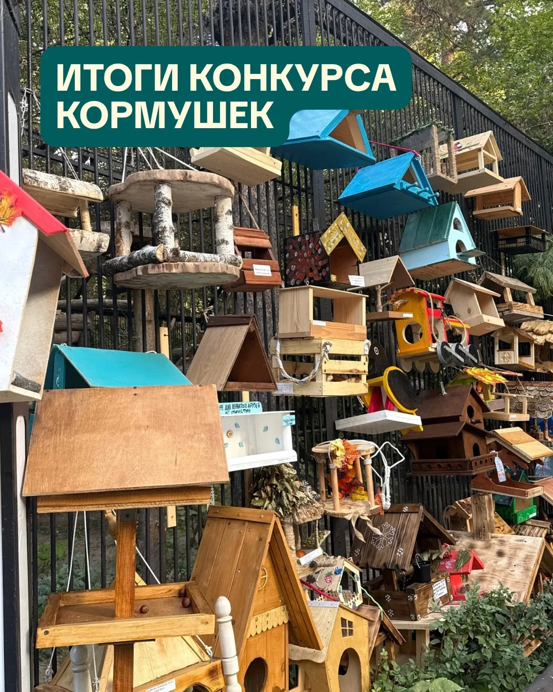 Итоги традиционного конкурса кормушек 🎉