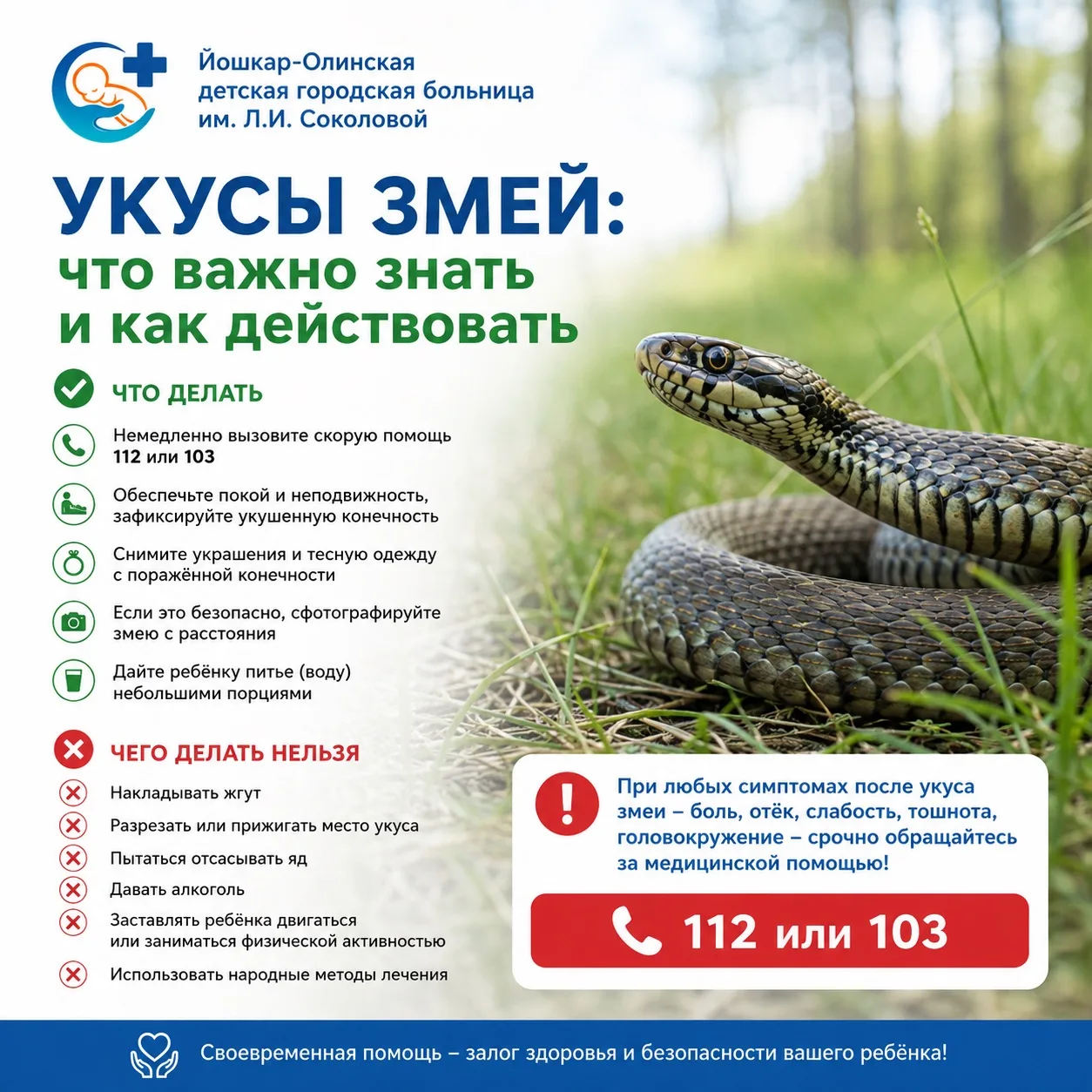 Летом дети чаще бывают на природе, поэтому важно знать, как действовать при укусе змеи.