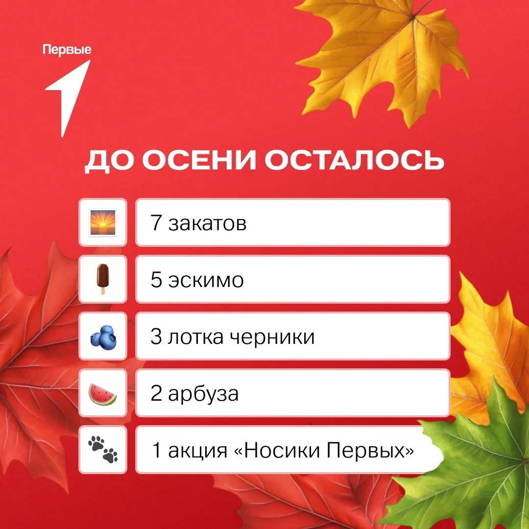 🍂 Осень близко — впереди новые возможности и проекты Первых!