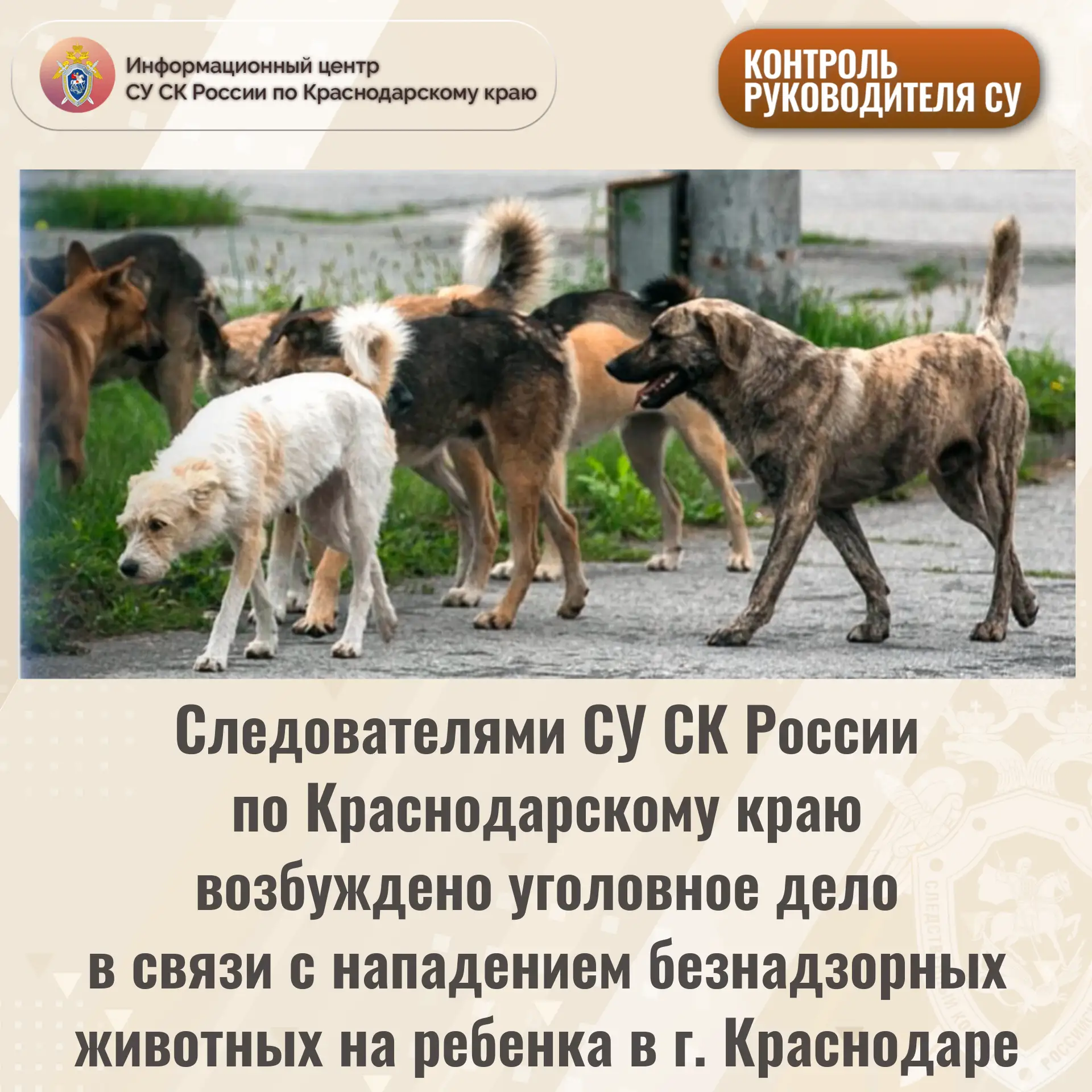 Следователями СУ СК России по Краснодарскому краю возбуждено уголовное дело в связи с н...