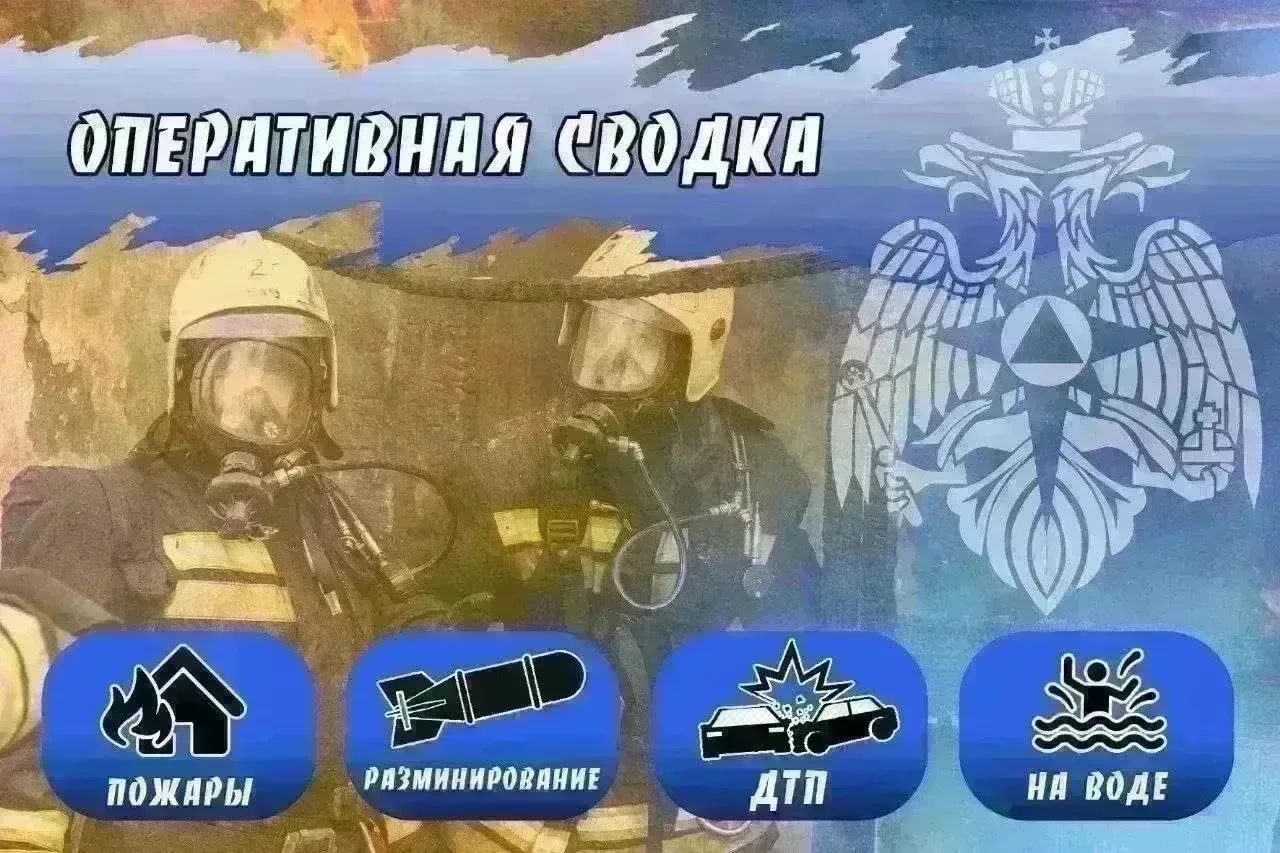 #Оперативная_Сводка
