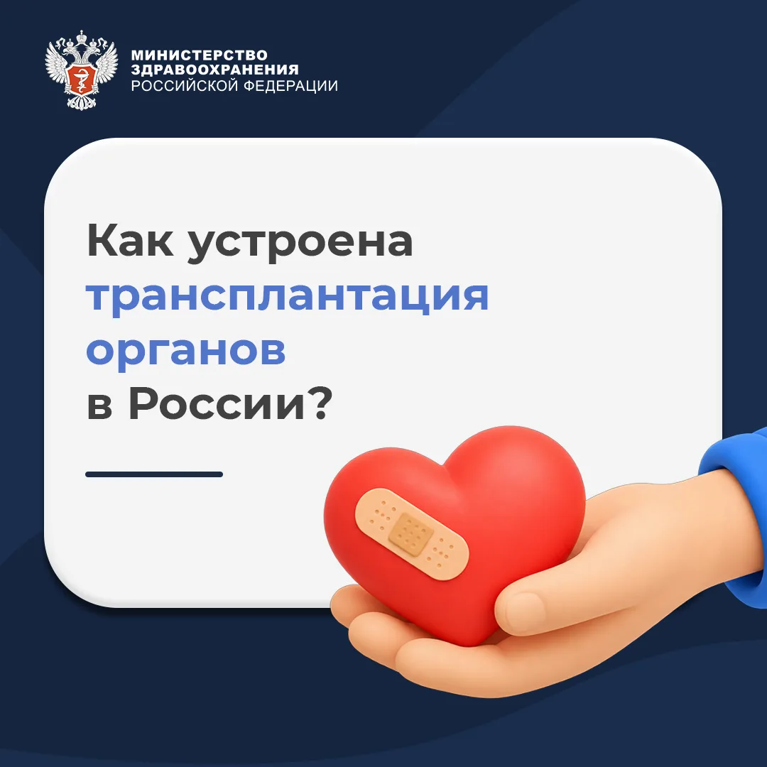 ❤️‍🩹 Как устроена трансплантация органов в России?
