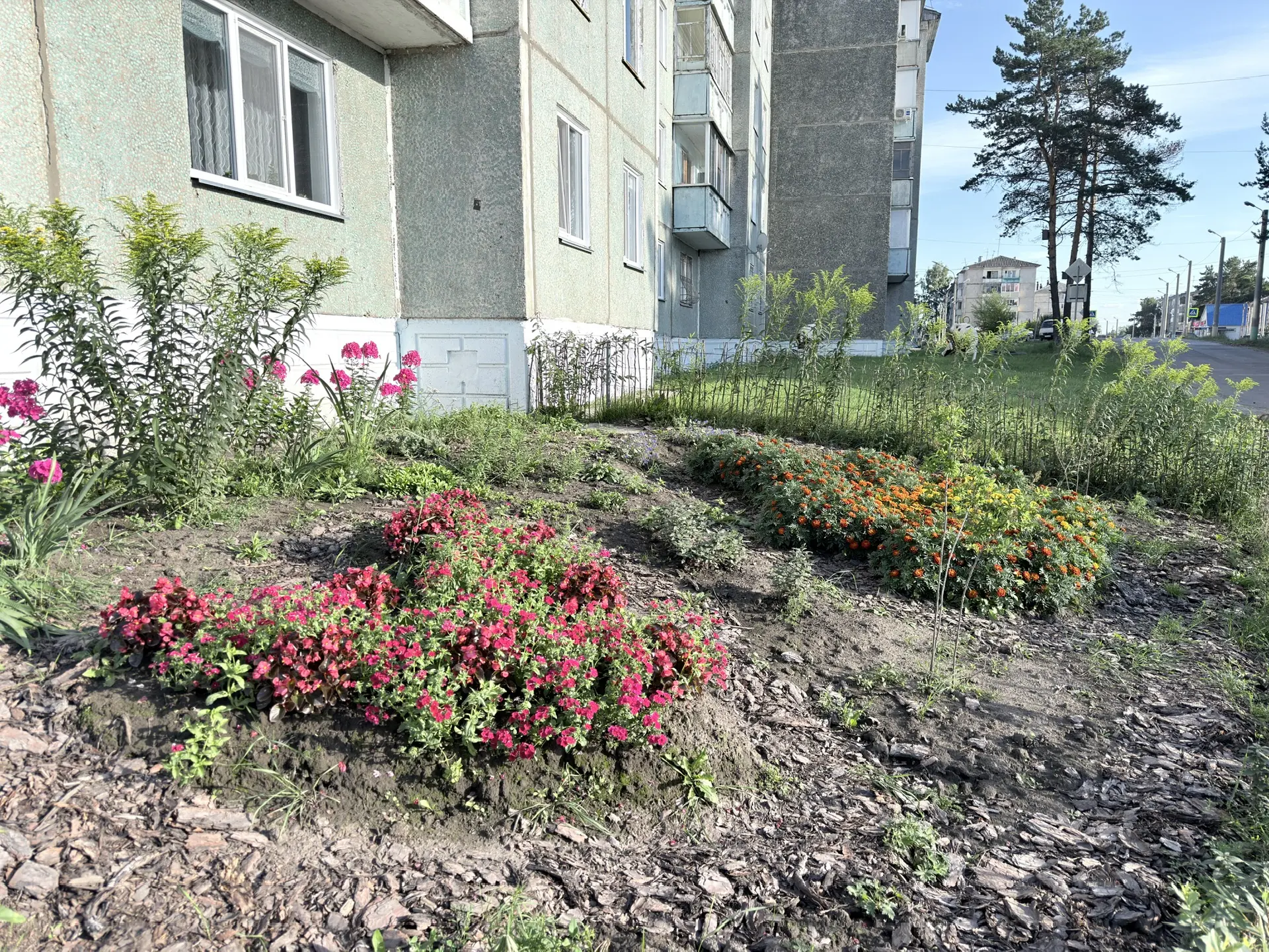 Ровно год назад мы рассказывали(https://vk.ru/wall-210204746_417) о замечательной иници...