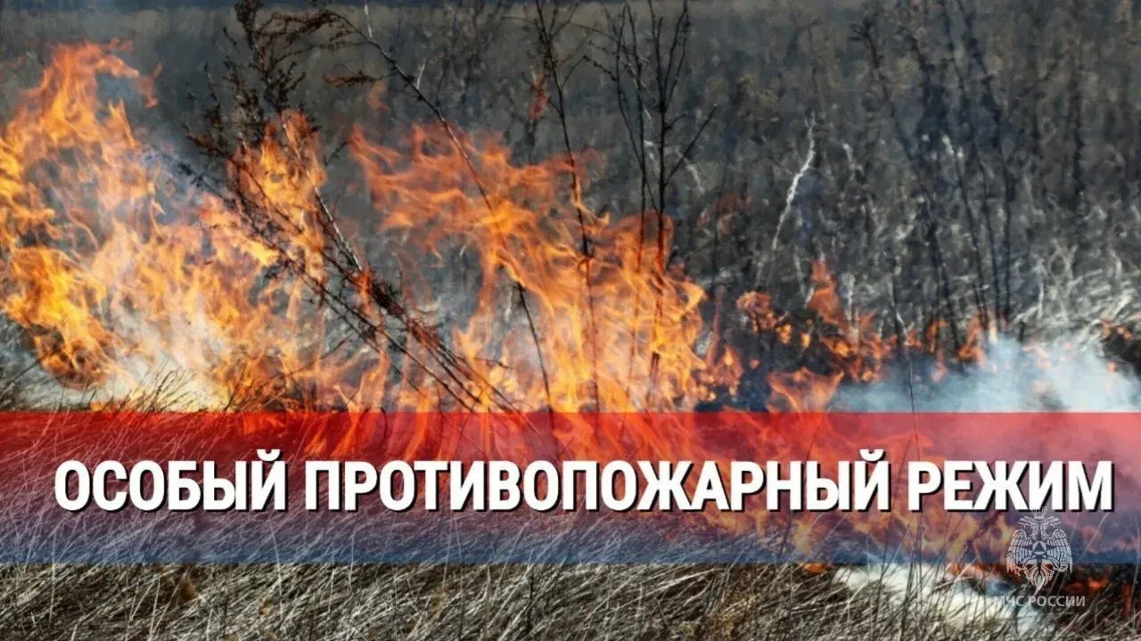 Особый противопожарный режим - это дополнительные требования пожарной безопасности, уст...