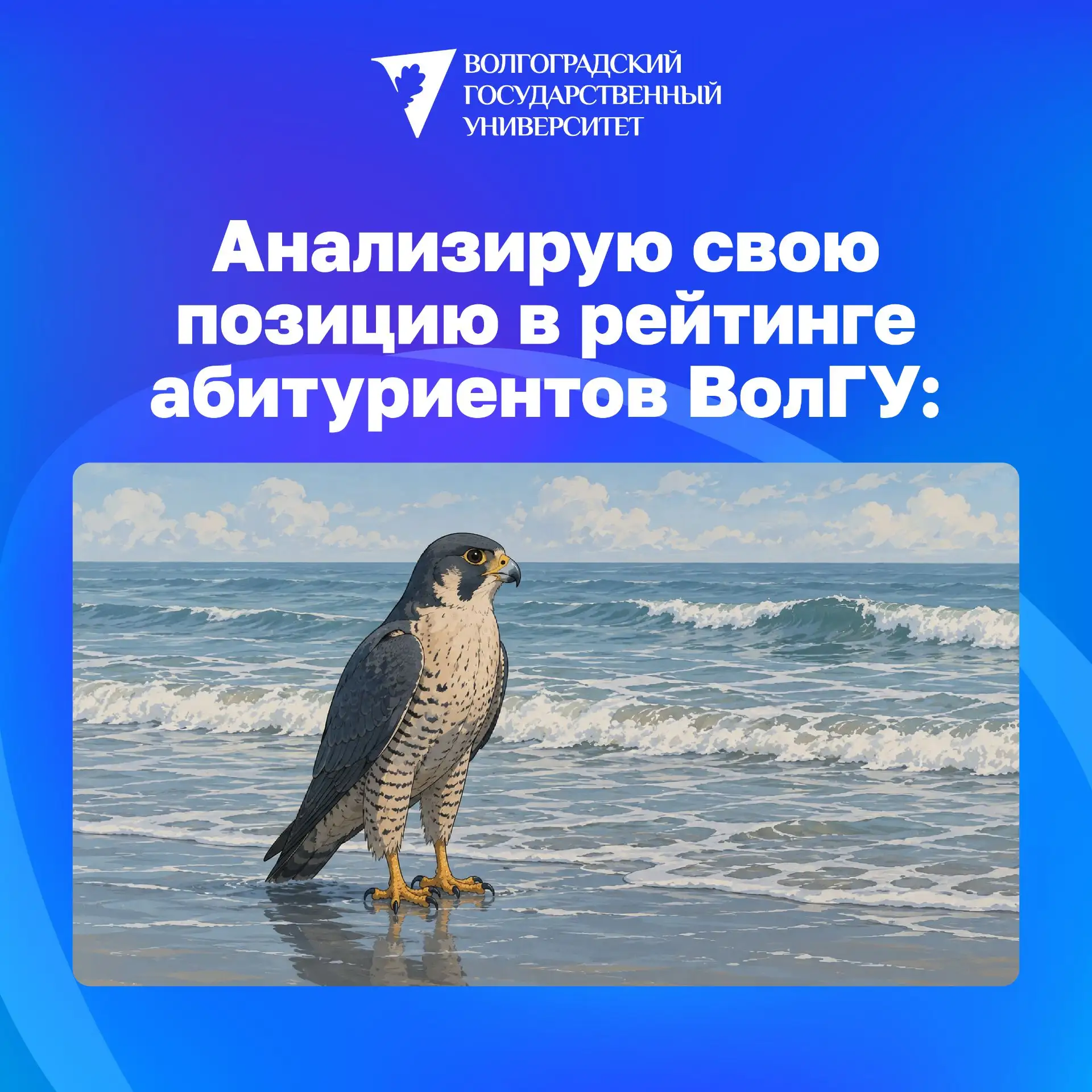 ❓Что такое конкурсные списки и как в них разобраться? Инструкция для абитуриента

Период подачи доку