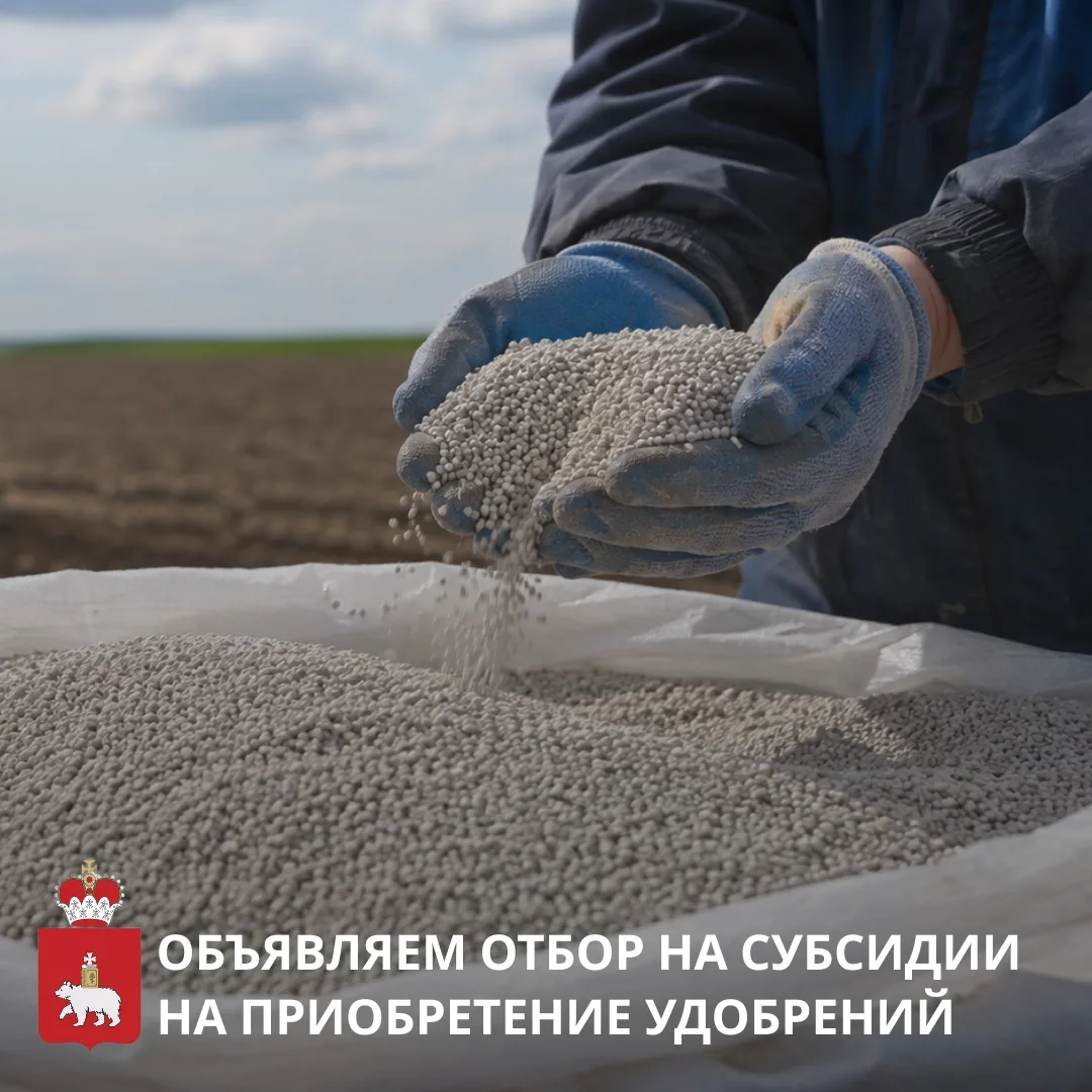 Минагро Пермского края проводит отбор на предоставление субсидий на возмещение части за...