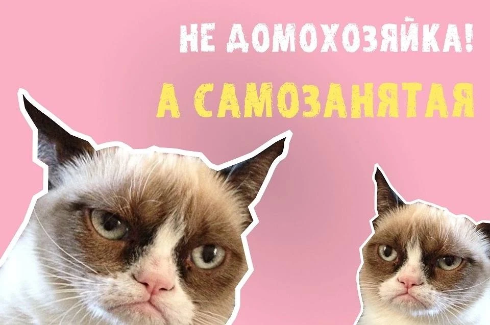 В Подмосковье предложили увеличить лимит дохода для самозанятых.