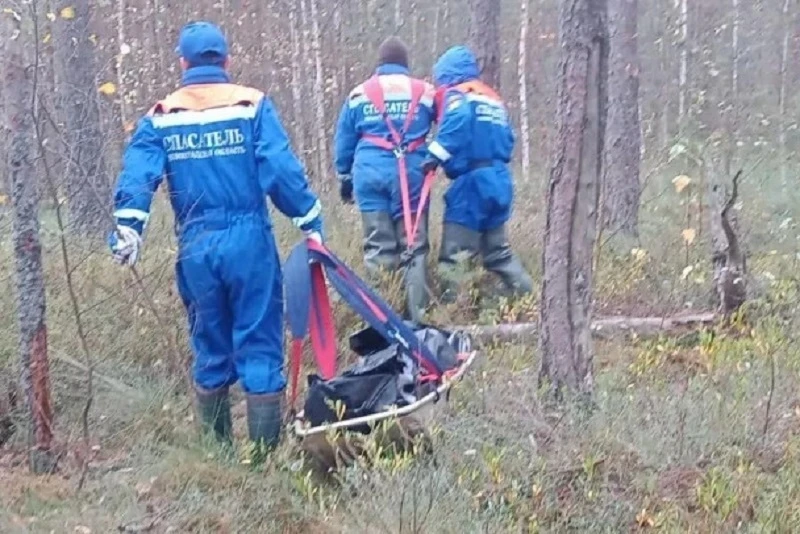 Тело пропавшей женщины нашли в лесу Кировского района