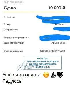 За эту неделю в Гильдии произошло очень интересное наблюдение