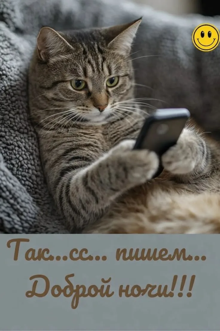 Котаны • подписаться 
Наш второй канал • Пушистики