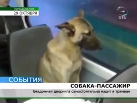 Ощущаю себя примерно так