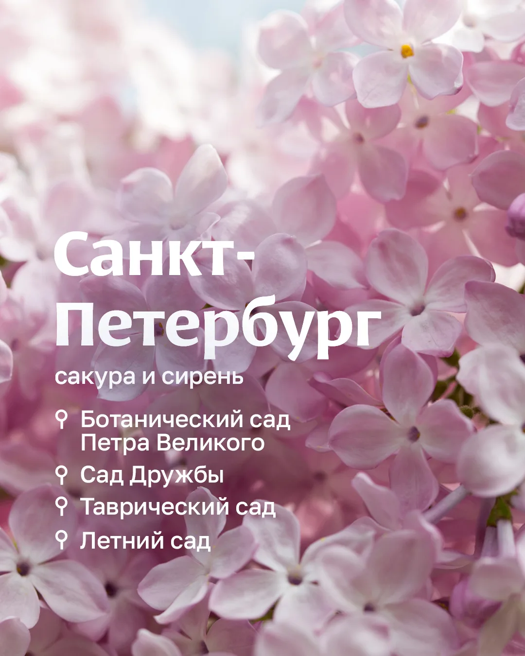 Можно оставить всё как есть, а можно — немного переключиться  Поздравляем с 1 Мая! Пусть эти выходны
