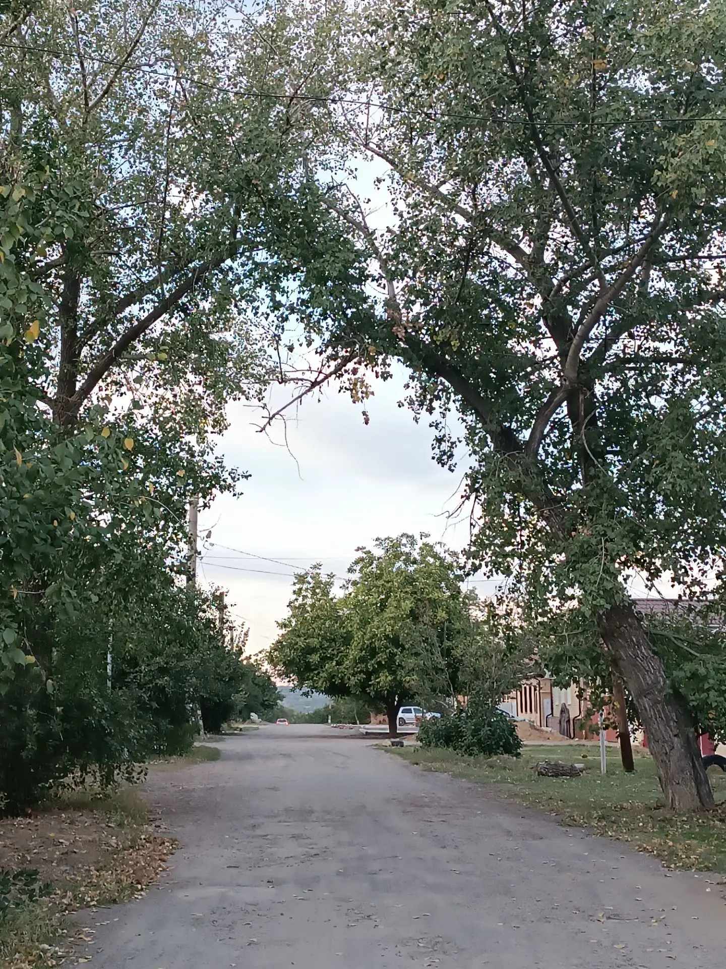 Доброе утро, Каменск ☀ 🌝⏰