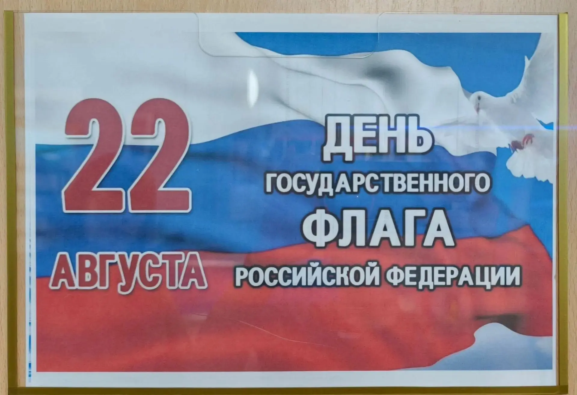 🎉 Ко Дню Государственного флага России в нашей библиотеке открылась тематическая выста...