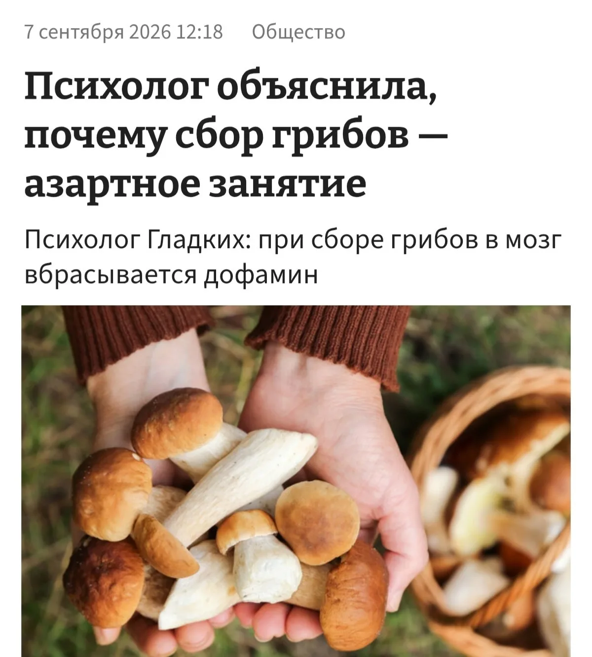🍄‍🟫 Грибники — латентные лудоманы, заявили психологи.