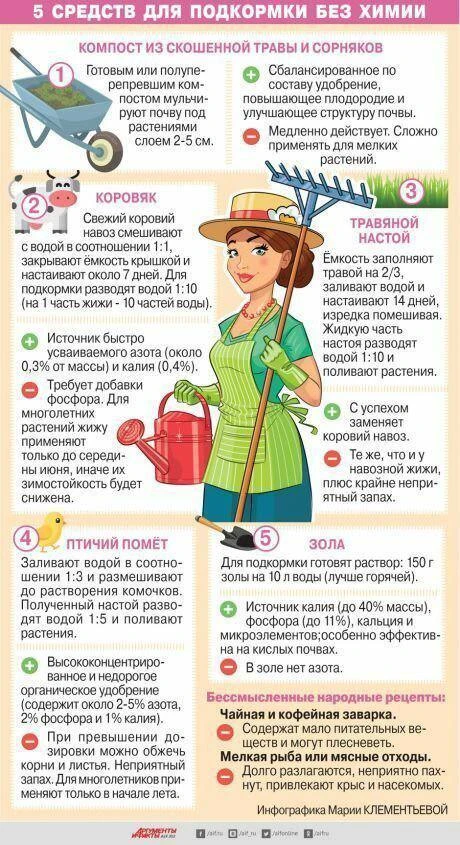 Подкормки без химии