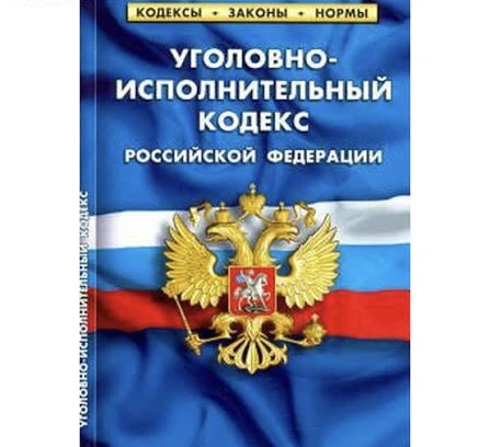 ⚡️Осужденному за насильственные действия сексуального характера в